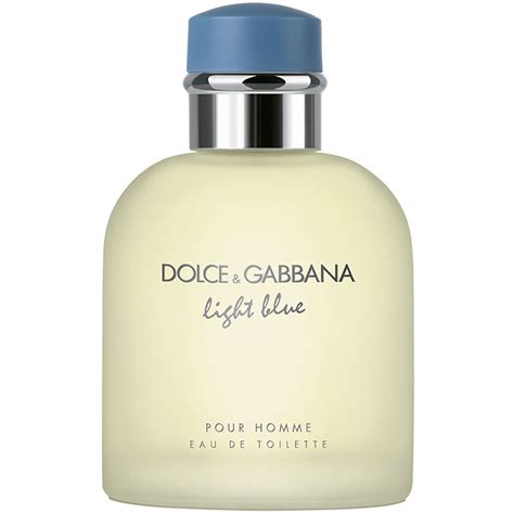 dolce gabbana light blue for men notes|d&g light blue intense men's.